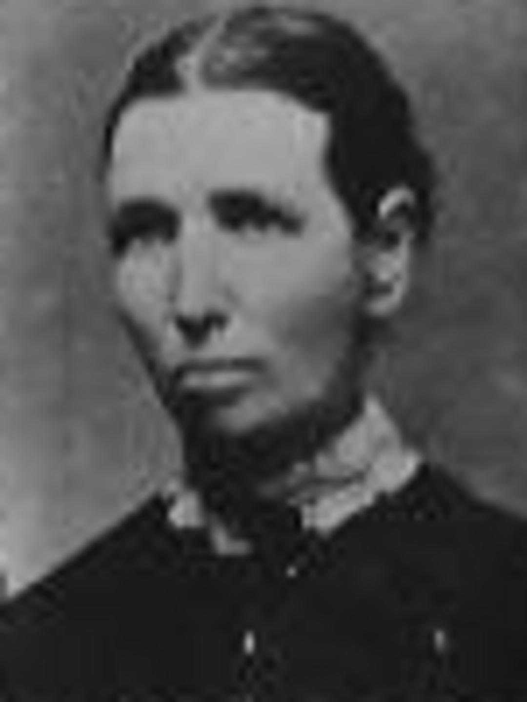Ann Baker (1843 - 1908) Profile